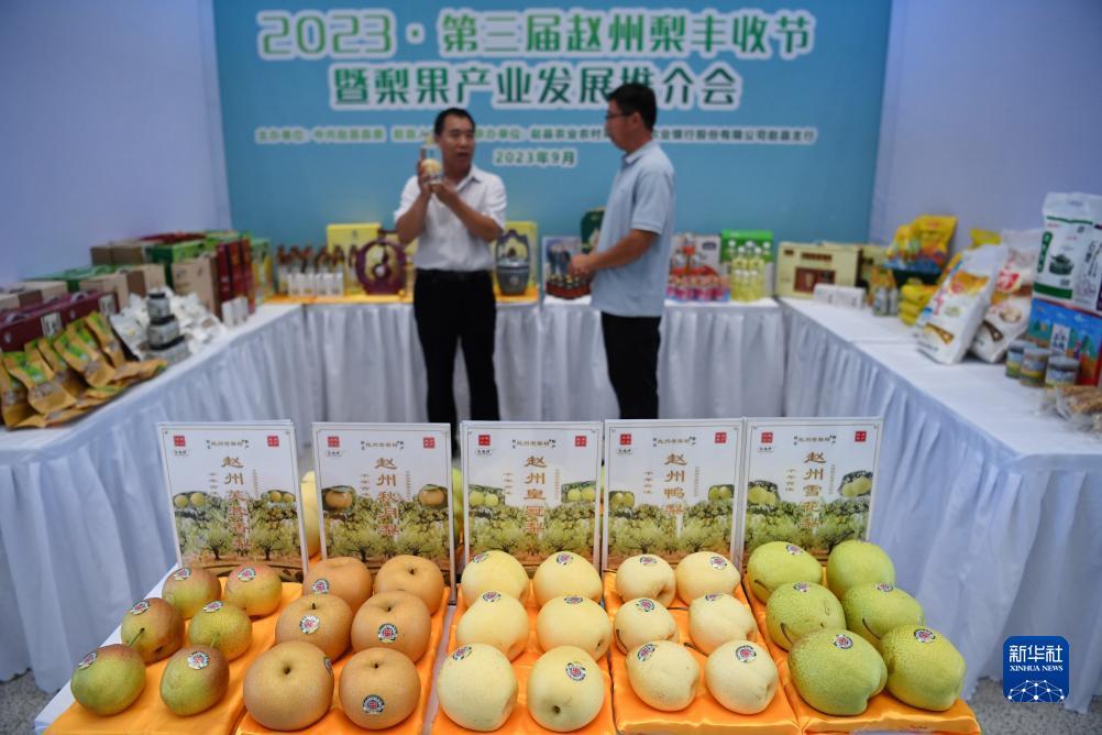 巴黎人线上官方